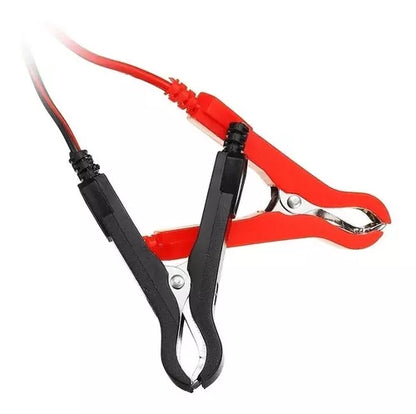 Cargador batería vehículos 12V