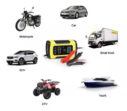 Cargador batería vehículos 12V